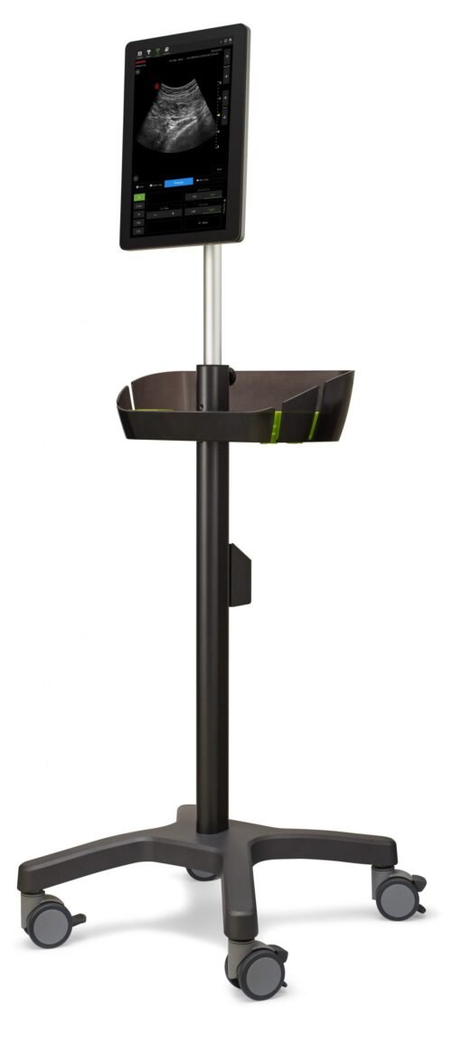 Ultrasound Piloter Vet small animal scanner