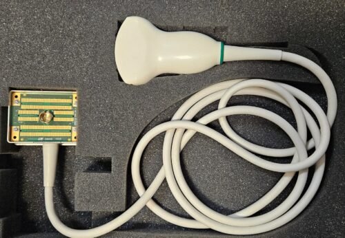 Abdominal probe for Exapad Ultrasound Scanner